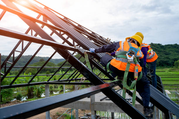 Best Roof Gutter Cleaning  in Maxwell, CA