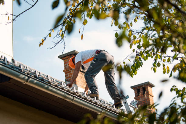 Best Gutter Installation and Roofing  in Maxwell, CA